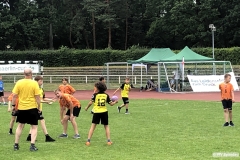 Piereg_03